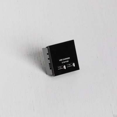 Модуль с двумя USB-разъемами для европластины черного цвета, британский стандарт