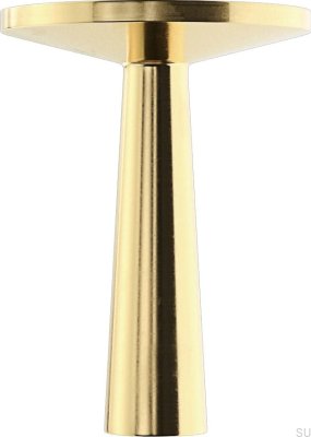 Мебельная ручка TS 1 Матовая латунь (2 шт.)