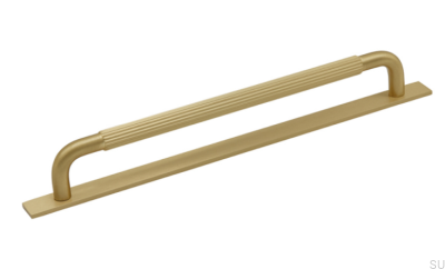 Удлиненная мебельная ручка с шайбой Helix Stripe 224 Gold Brushed