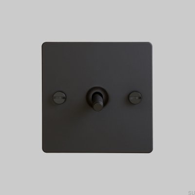 Крест 1G, одинарный переключатель, сталь, черный, британский стандарт
