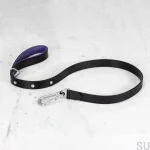 BusterPunch_Dog_Lead_Steel_Large-scaled.webp