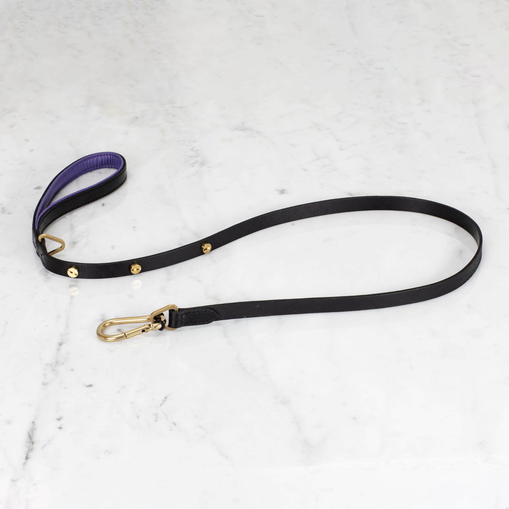 BusterPunch_Dog_Lead_Brass_Small.jpg
