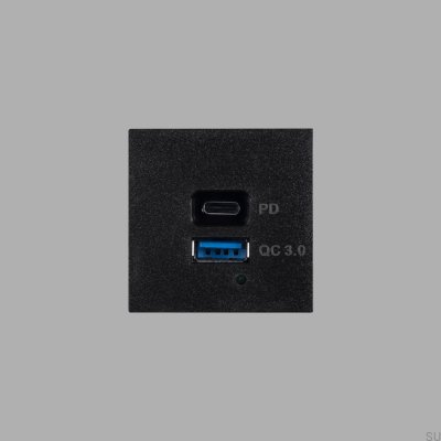 Модуль быстрой зарядки USB A+C, стальной, черный, европейский стандарт