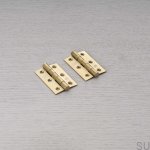 Hinge_76x51x2mm_Brass_Pair_Main_1_Web-scaled.jpg