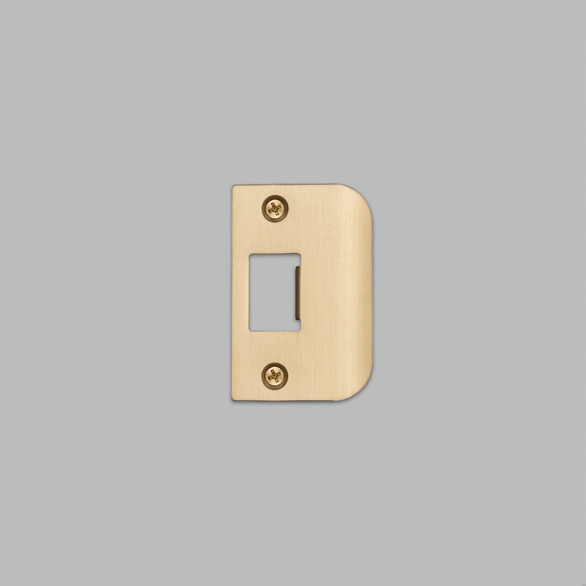 Strike_Plate_D_Plate_Brass_web-scaled.jpg