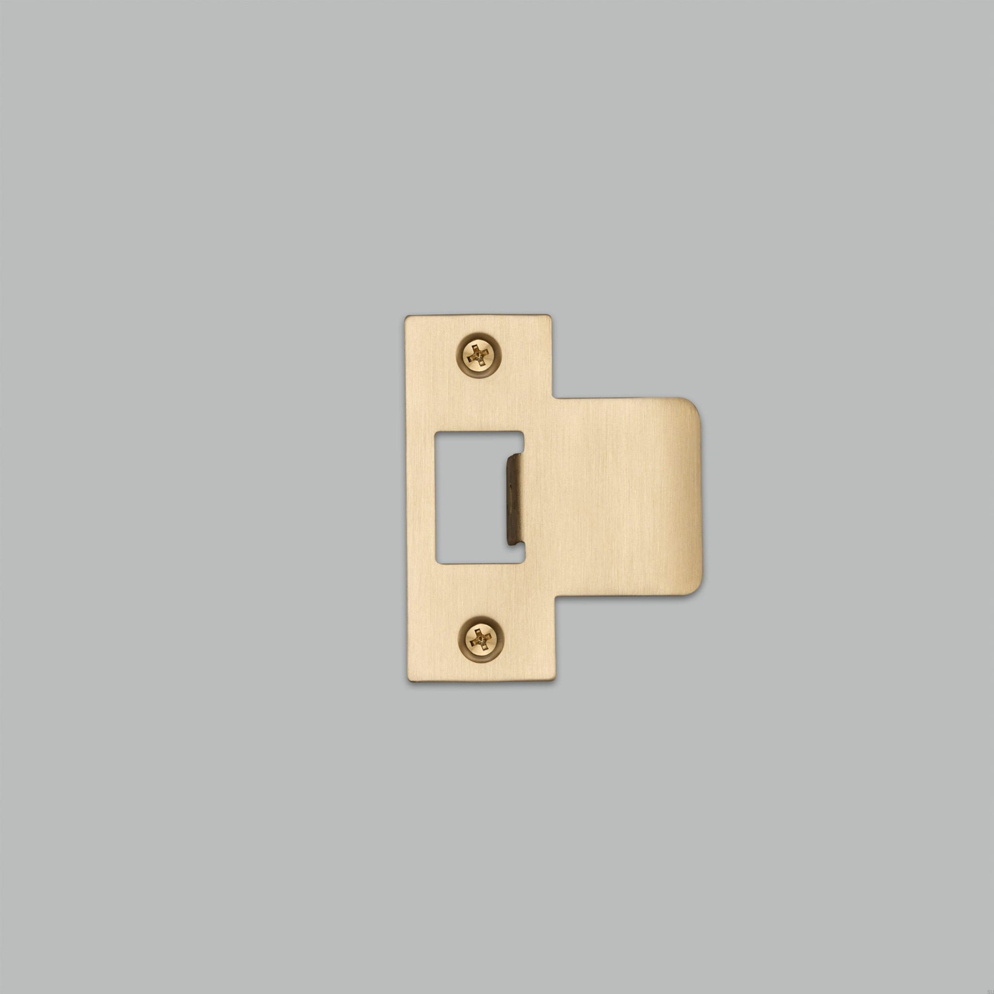 Strike_Plate_2_5_Inch_Brass_web-scaled.jpg