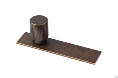 Мебельная ручка с шайбой Arpa Plate Aluminium Rustic Gold