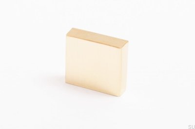 Ручка мебельная Clean Cut 22 Полированная латунь Неокрашенная