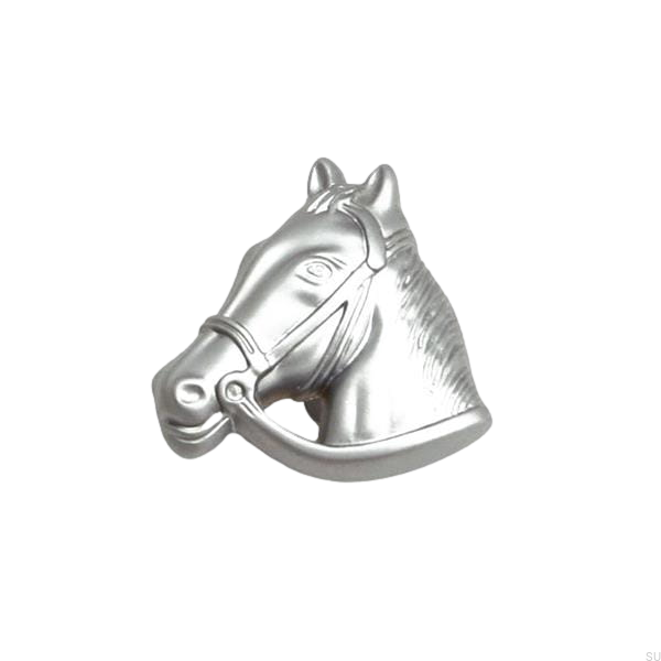 Zdjecie galki Hasthuvud srebrnej