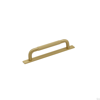 Удлиненная мебельная ручка с шайбой Helix Stripe 128, матовый золотой