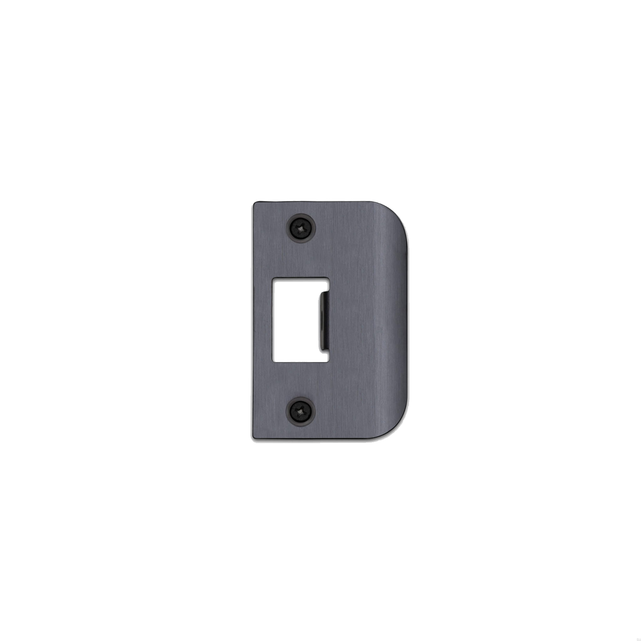 Strike_Plate_D_Plate_GunMetal_web-scaled.jpg