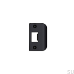 Strike_Plate_D_Plate_Black_web-scaled.jpg