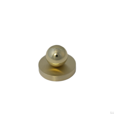 Ручка мебельная с шайбой Mona XS Полированная латунь