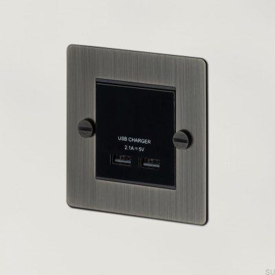 Модуль с двумя USB-разъемами для европластины белого цвета, британский стандарт