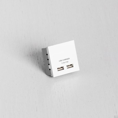 Модуль с двумя USB-разъемами для европластины белого цвета, британский стандарт