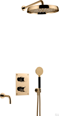 ARM7368 ED2 Душевой набор Полированная латунь Неокрашенный