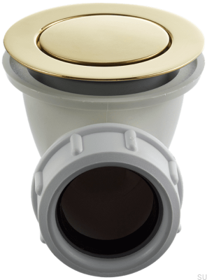  Пробка для ванны выдвижная 22200 Полированная латунь, Неокрашенный