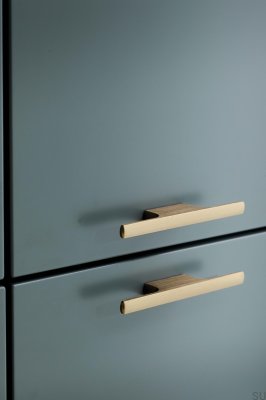Продолговатая мебельная ручка Tau 32, матовый алюминий и золото.