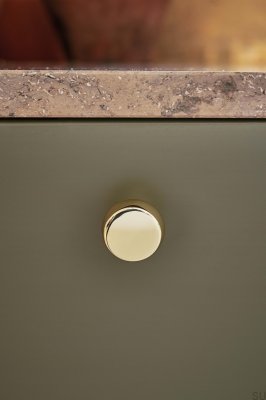 Мебельная ручка Осень 28 Металл Золото Полированное