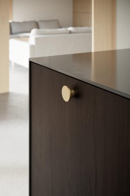 Круг 50 Металлическая Мебельная Ручка Матовое Золото