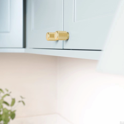 Мебельная ручка Riff 21 Matte Gold