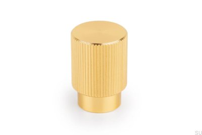 Мебельная ручка Arpa из матового золотого алюминия