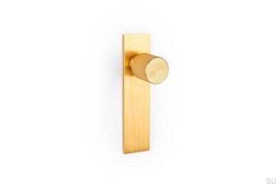 Ручка мебельная с шайбой Arpa Plate Aluminium Gold Brushed