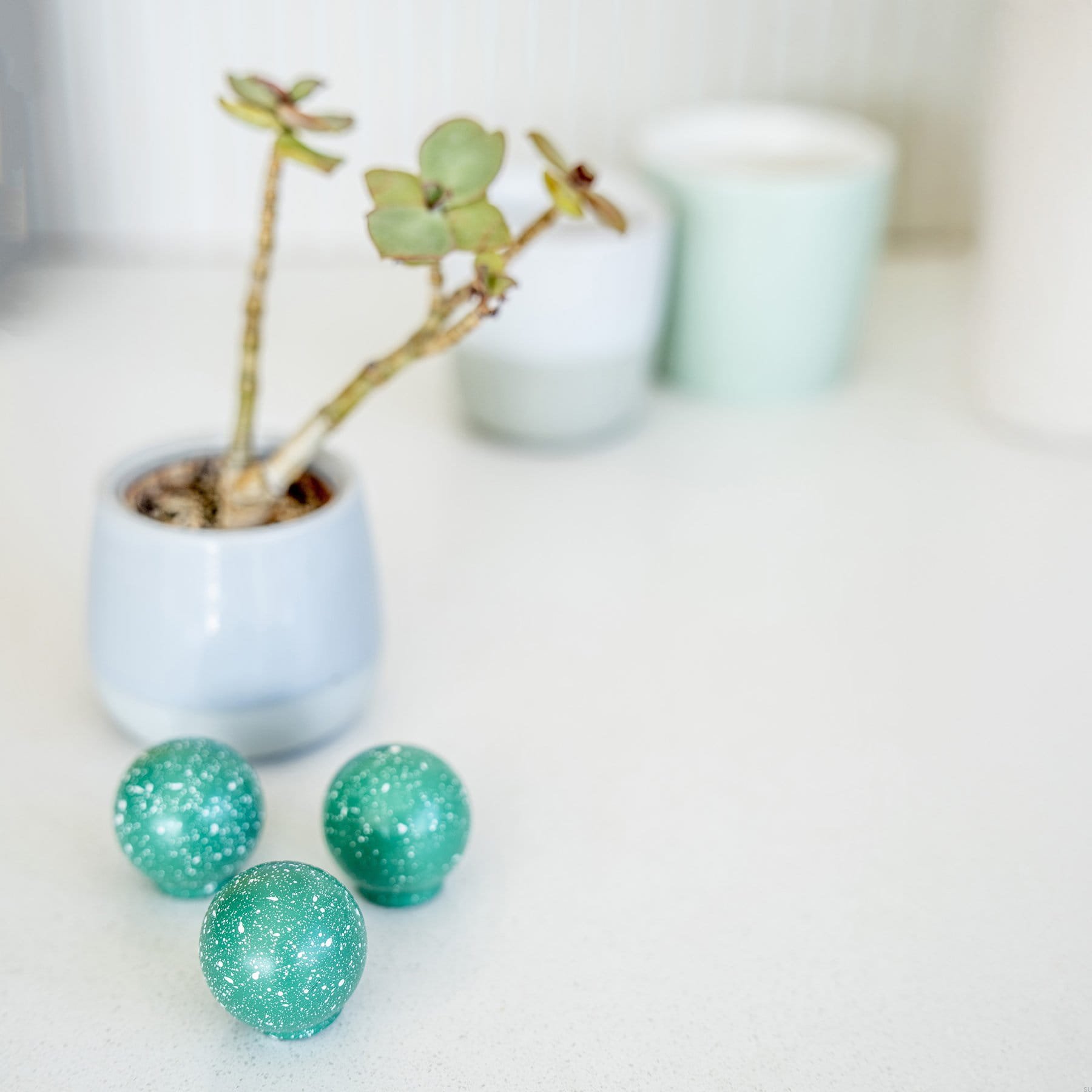 Grn&WhtMl--Gałka-meblowa-Ren-Melange-Green-&-White-35-Drewniana-Bukowa-Vince-Skandynawskie-Uchwyty_3