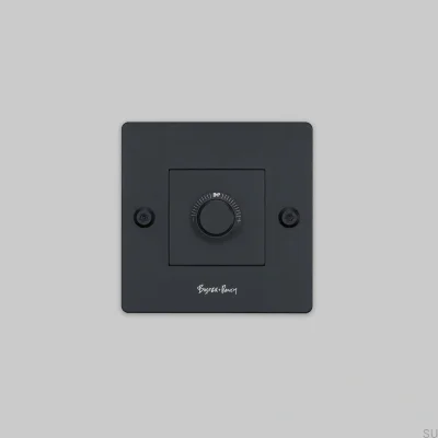 Светодиодный линейный светильник 1G 250 Вт, стальной, черный, европейский стандарт, диммер с выключателем и логотипом