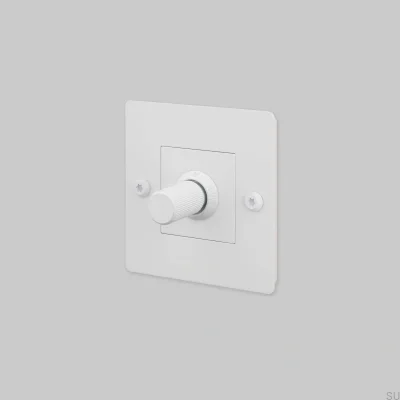 Диммер с выключателем без логотипа LED Linear 1G 250W Steel White European Standard