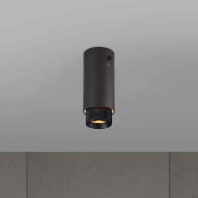 Потолочный точечный светильник Exhaust Cross, цвет графитовая сталь с черным