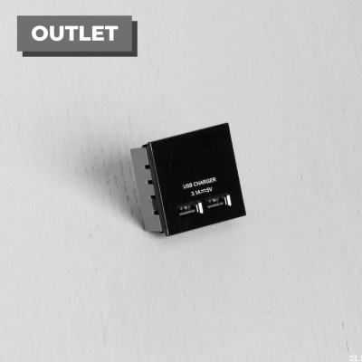 Модуль с двумя USB-разъемами для европластины черного цвета, британский стандарт
