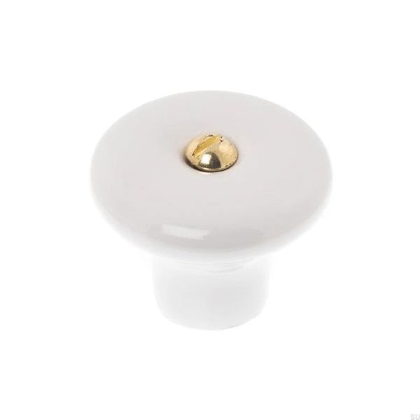 Zdjecie galki Porcelanowej ze sruba mosiezna